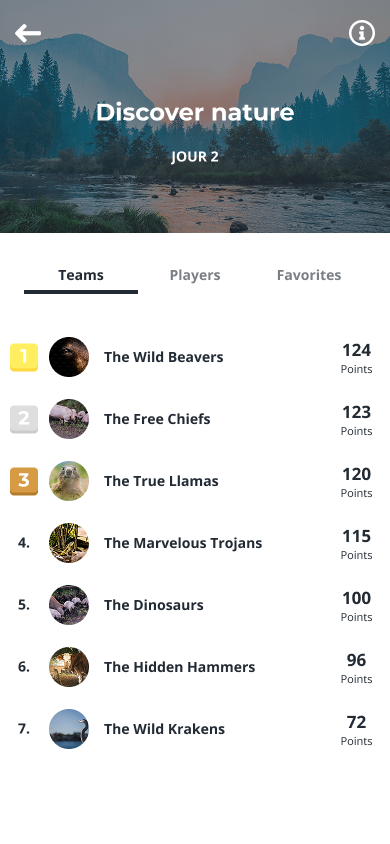Team leaderboard
